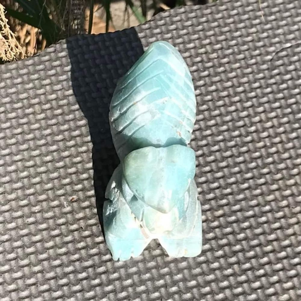 Caribbean Calcite Squirrel - Picture 5 of 10